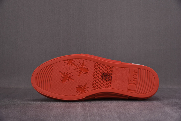 DR B23 OBLIQUE LOW TOP SNEAKER