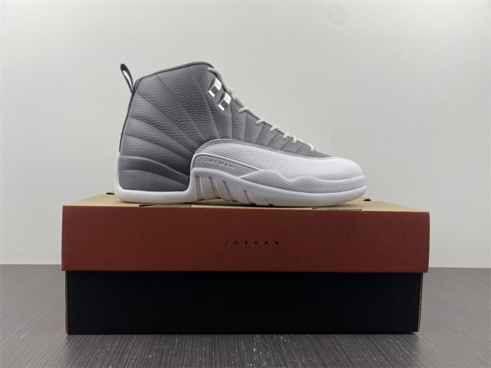 Air Jordan 12 STEALTH CT8025-610
