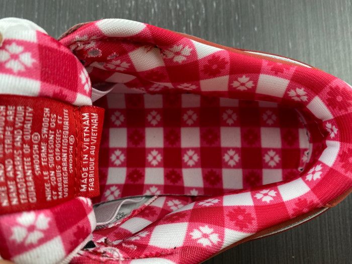 nike dunk low preM1vm sb 