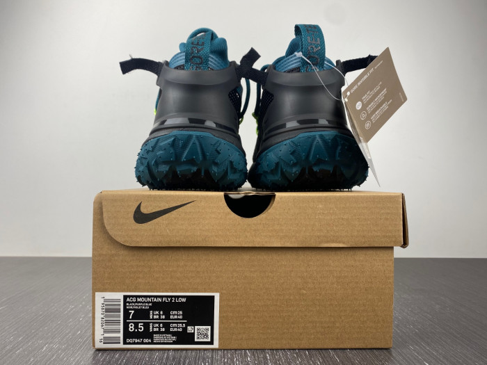 Nike ACG MOUNTAIN FLY LOW 