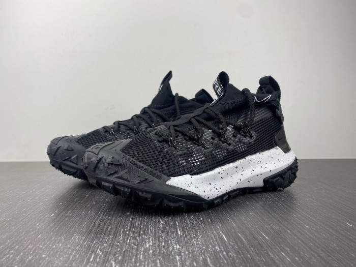 Nike ACG MOUNTAIN FLY LOW 