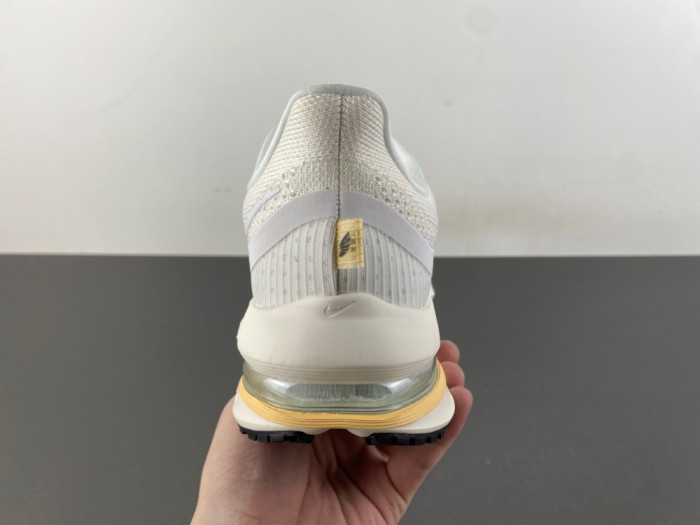 nike pegasus preM1vm 