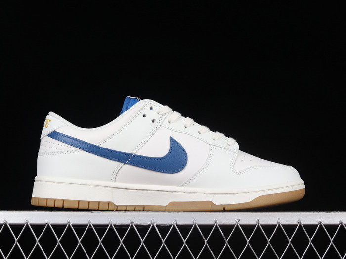 Nike SB Dunk Low DX3198-133
