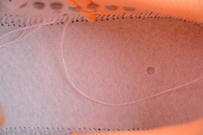 Nike Dunk Low WMNS “Peach Cream” DD1503-801