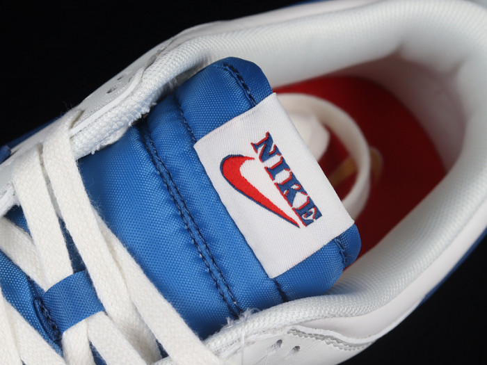 Nike SB Dunk Low DX3198-133