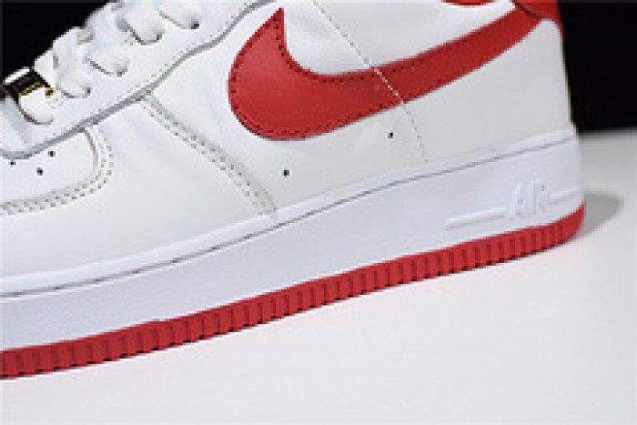 Nike Air Force 1 Low Fo Fi Fo AQ5107-100