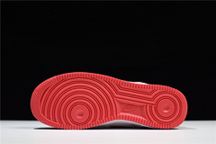 Nike Air Force 1 Low Fo Fi Fo AQ5107-100